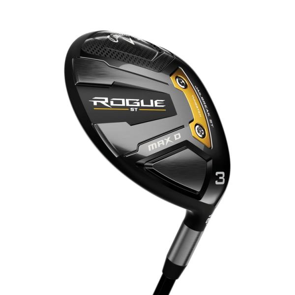 22_CAL_ROGUE_ST_MAX_D_FW_9